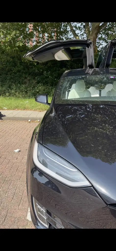 Model XP100D Model X full autopilot + winter tyre