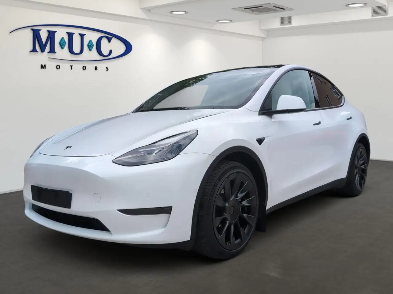 Model YLong Range Dual AWD