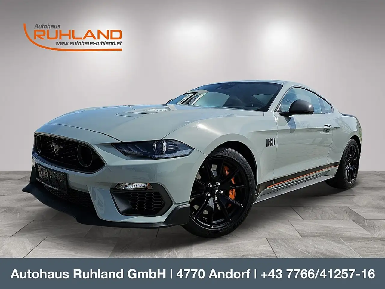 Mustang5,0 Ti-VCT V8 Mach 1 Aut. RECARO Sitze