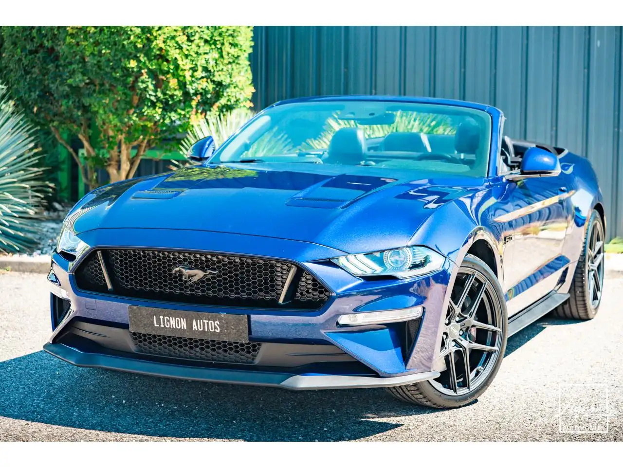 MustangCabriolet Gt 5.0l V8 450 BVM6 Premium