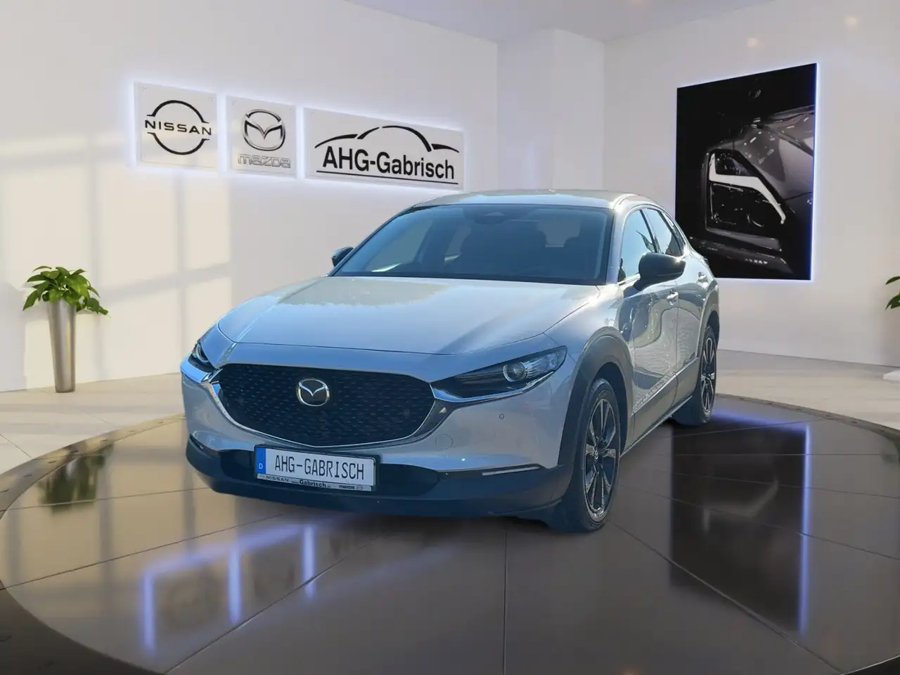 CX-30Homura FWD, Head-up Display, RF-Kamera