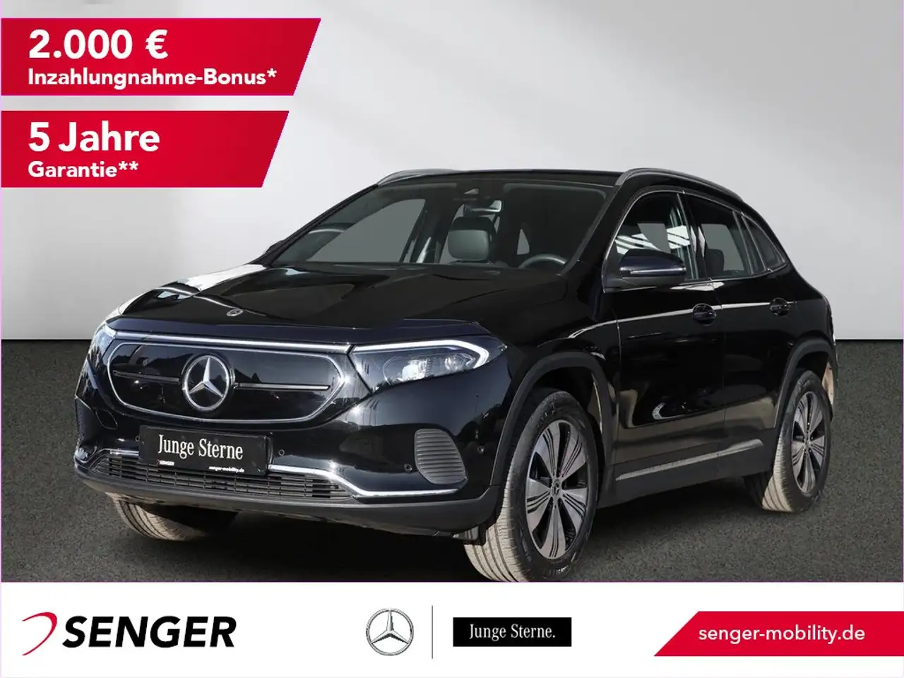EQA250 Progressive Rückfahrkamera Ambiente LED