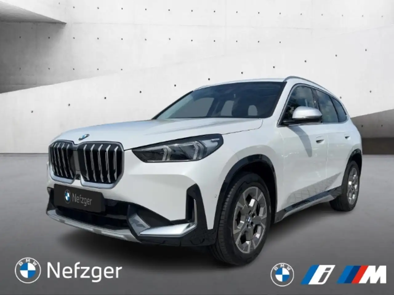 X1xDrive 23i xLine HUD Navi Pano ACC 360 HarmanK.