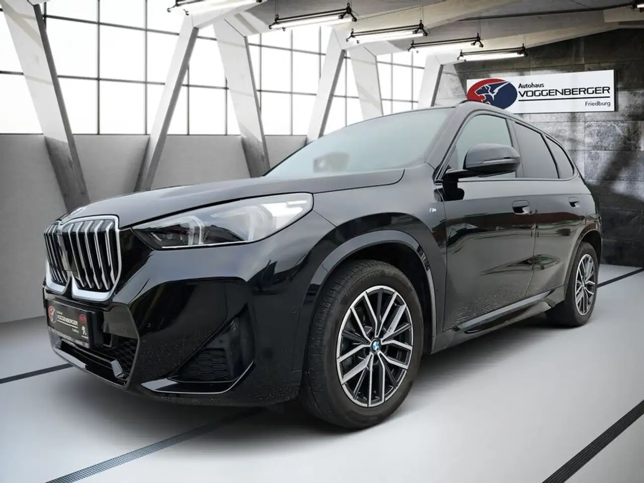 X1sDrive20d M-Sport  AHK LED 48V Aut.