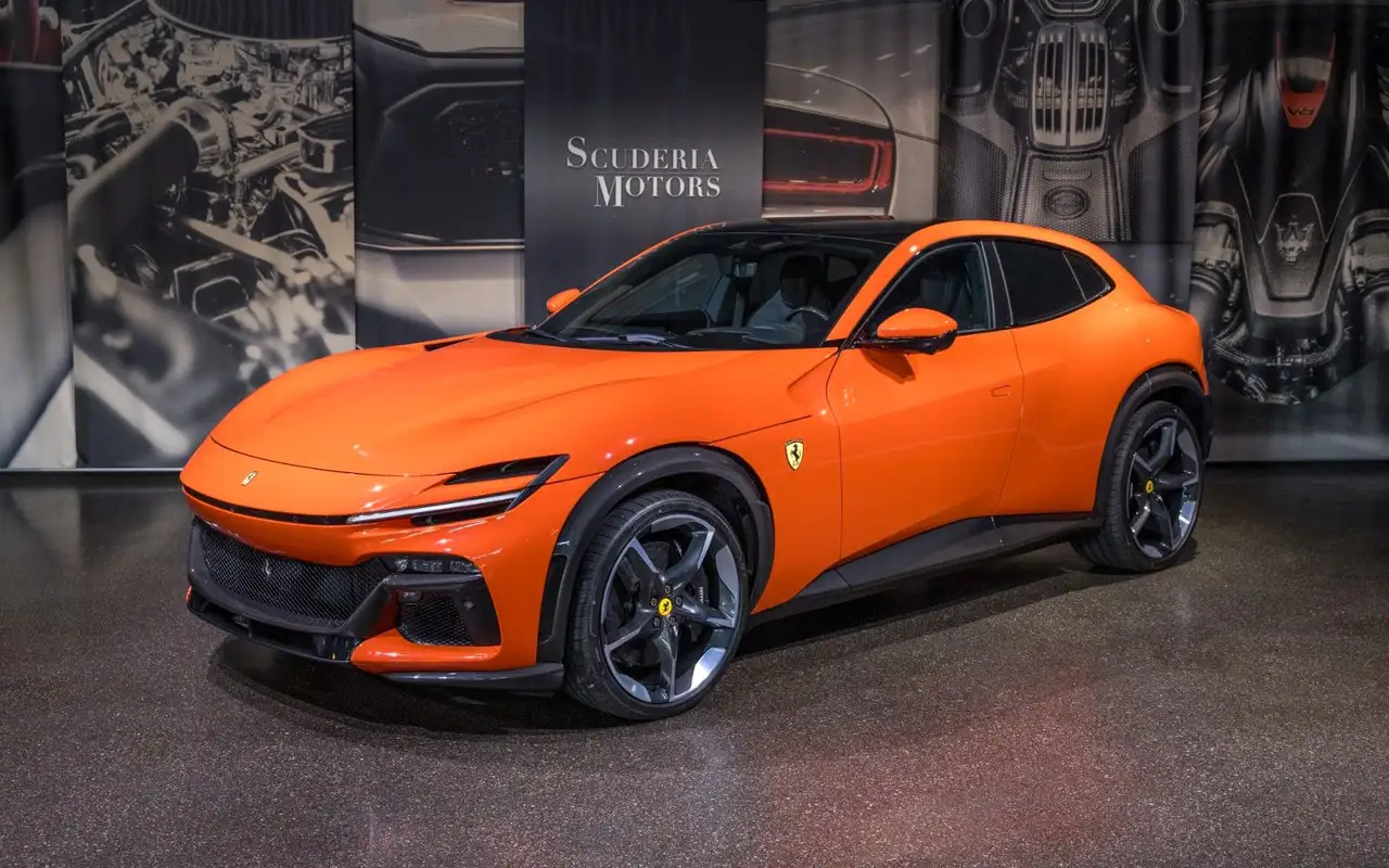 PurosanguePUROSANGUE | PRODUCTION 2025 | CARBON | ON STOCK