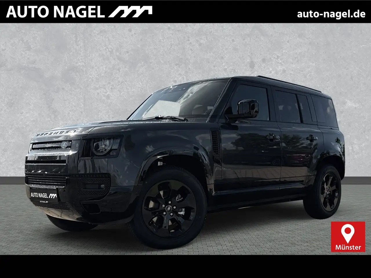 DefenderDefender 110 D250 X-Dyn.HSE 20"AHK Black+WinterP