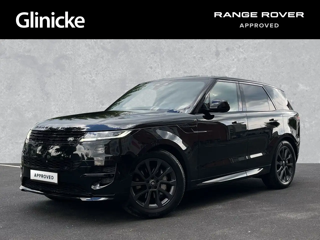 Range Rover SportD300 Dynamic SE / AHK Elekt.*H