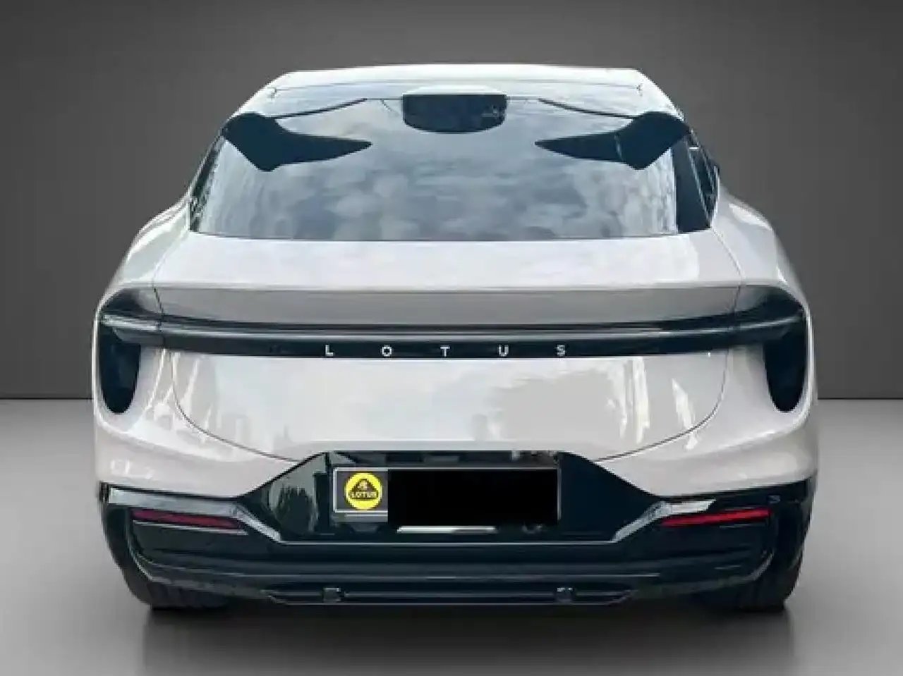 EletreEletre 112kWh 22Zoll AHV auch andere kurzfristig