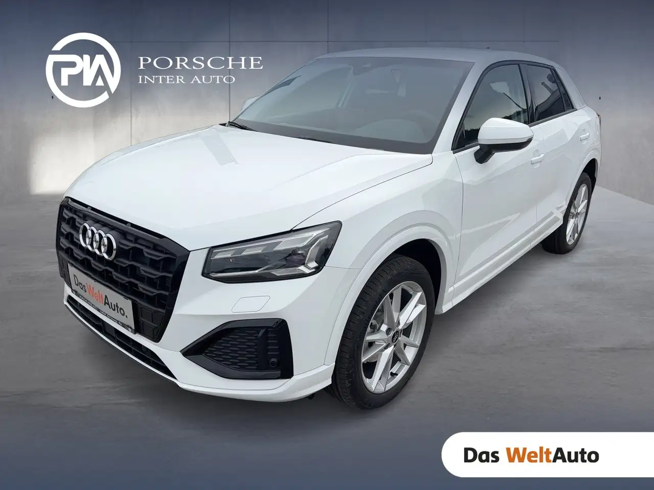 Q230 TFSI admired