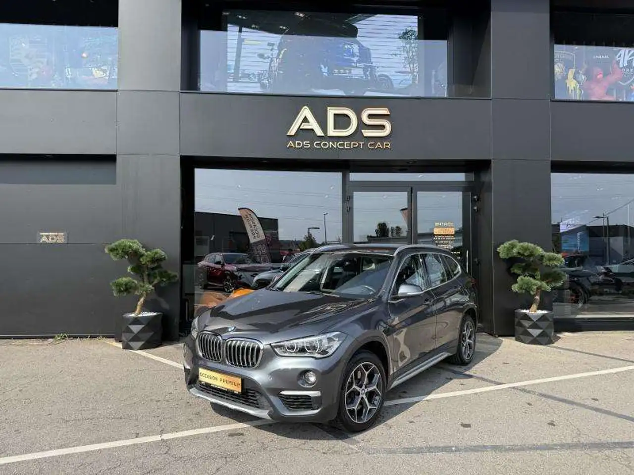 X1X1 xDrive20d Xline