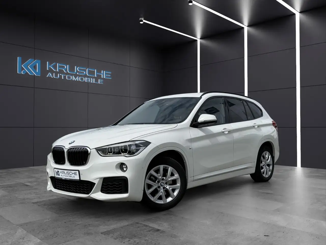 X1xDri 18d M Sport*HUD*RFK*LEDER*NAVI PROF*AHK