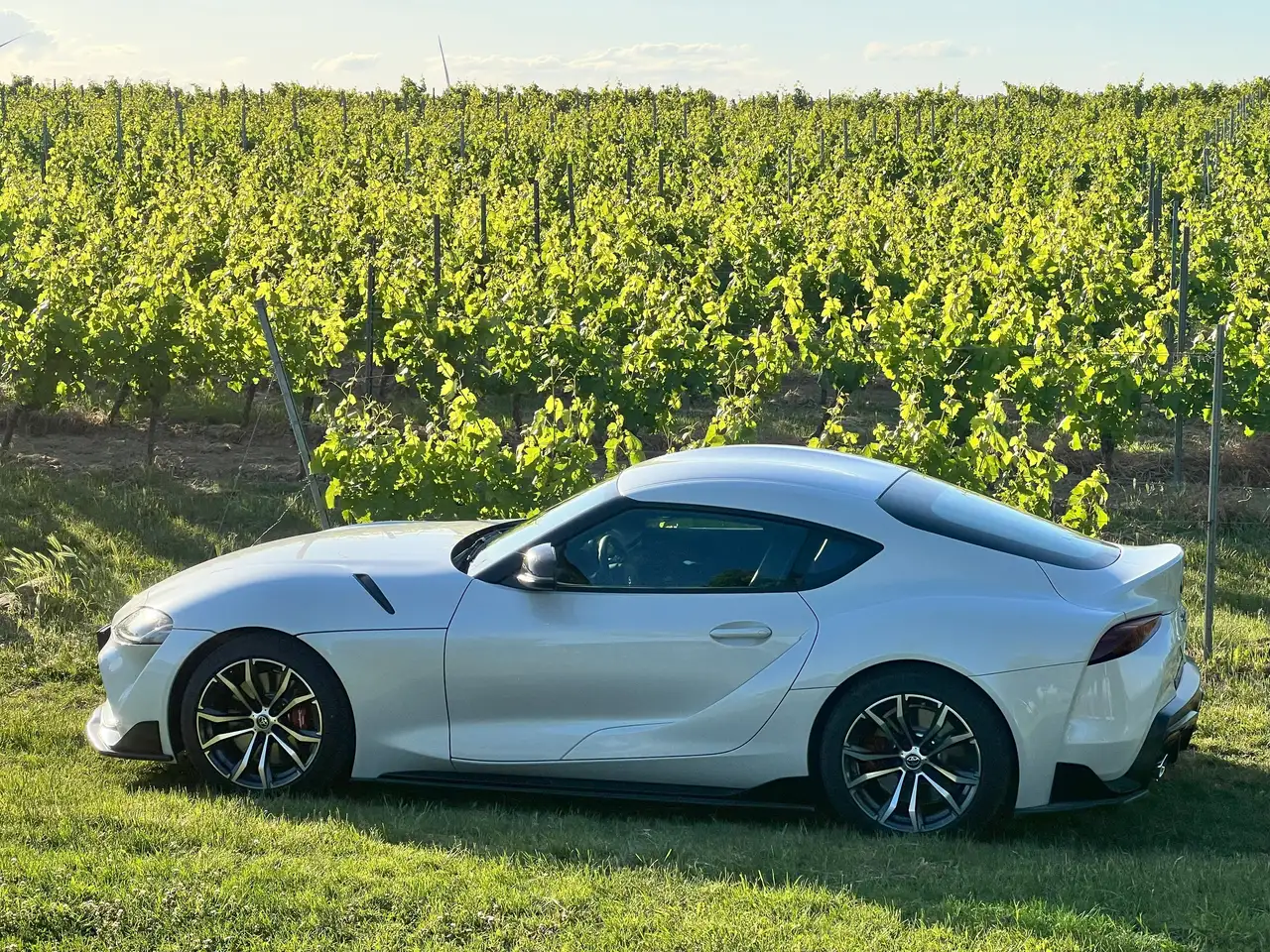 SupraSupra GR 2.0 Dynamic