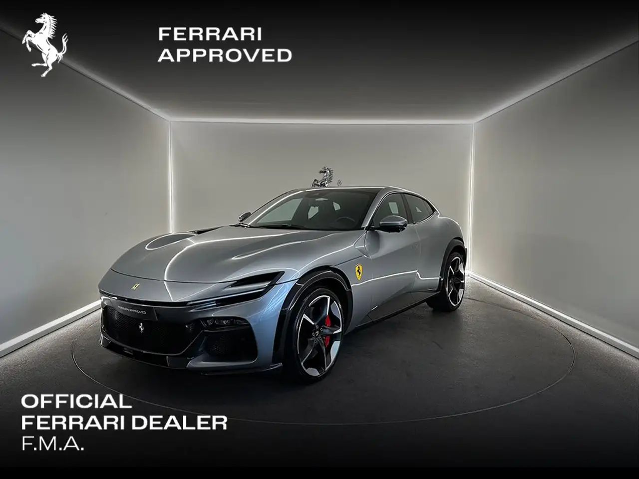PurosangueGrigio Titanio / Full Carbon / Ferrari Approved