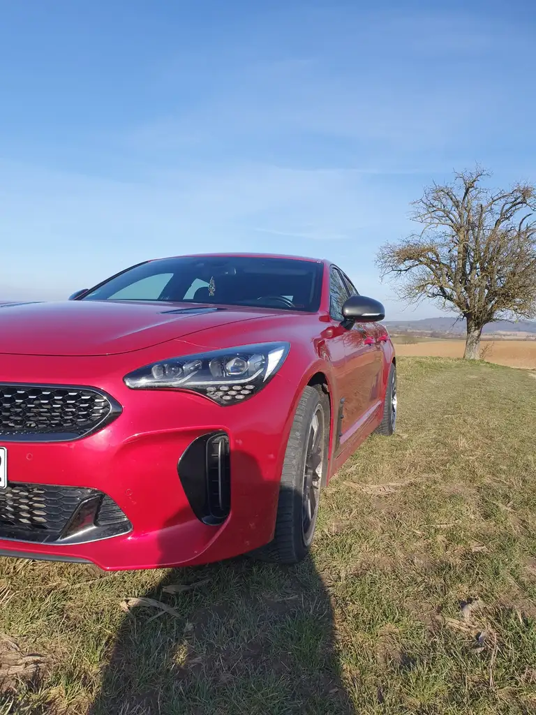 StingerGT-Line 2WD