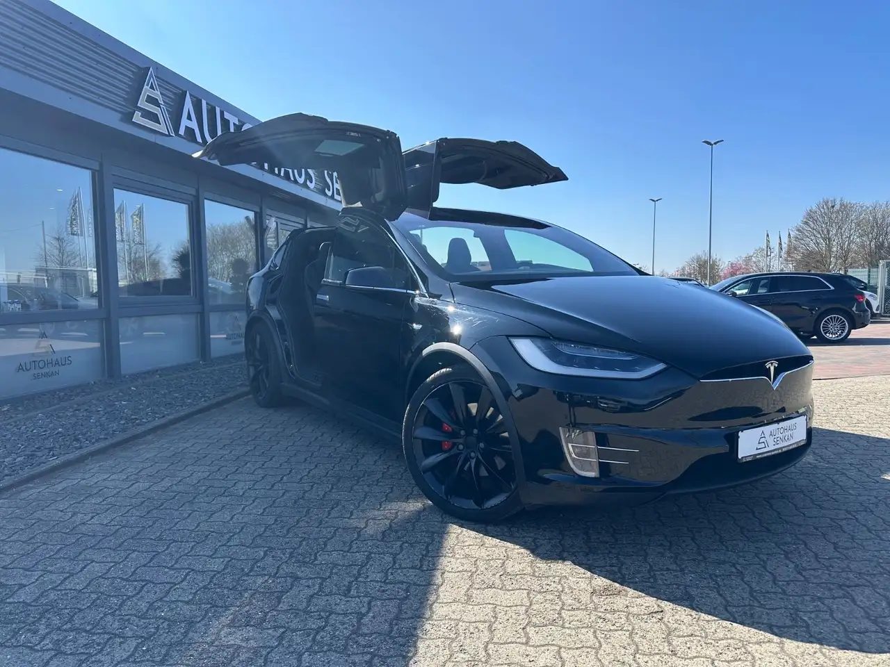 Model XPerformance P100D Dual 100 kWh*6-SITZE*