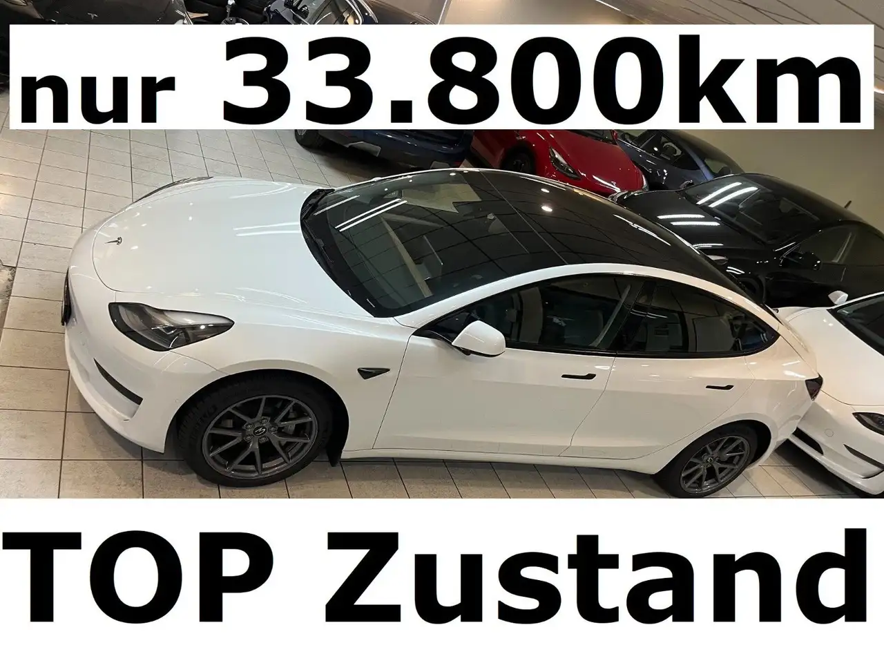 Model 355KWh TOP+ Kaufen auch Tesas an