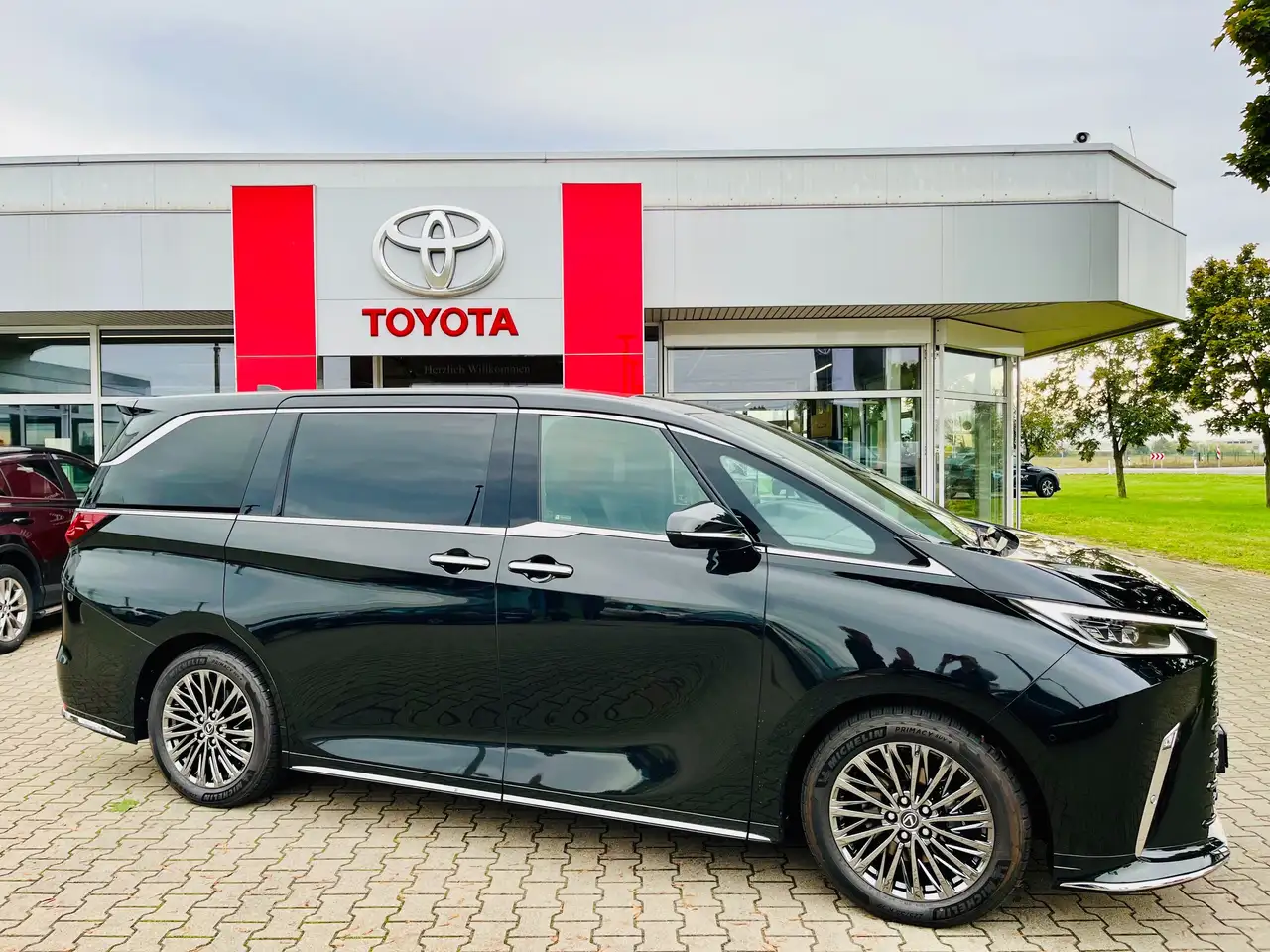 LM350 h Executive