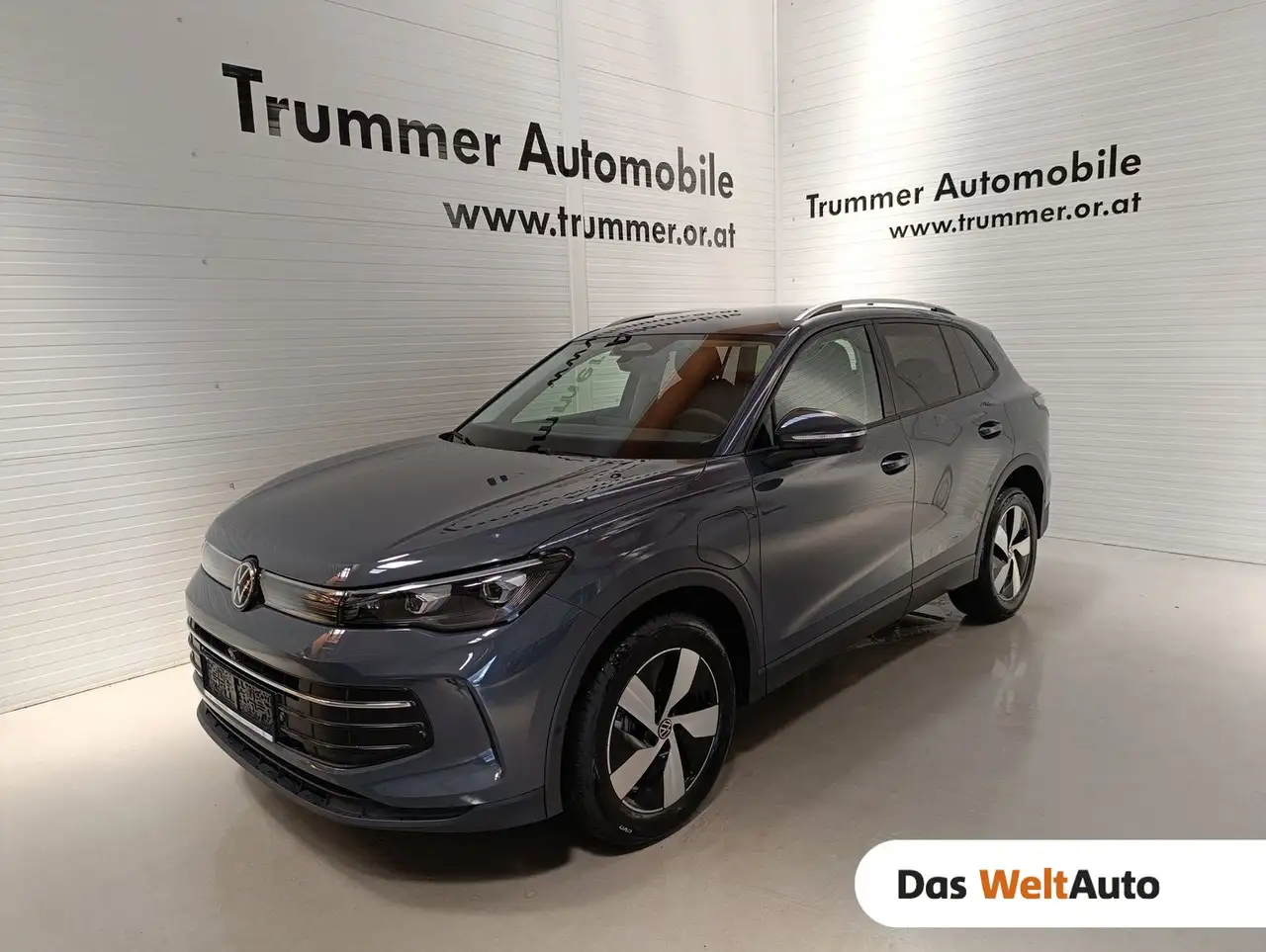 TiguanFriends eHybrid DSG 150 kW