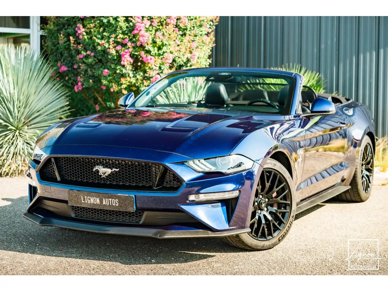 MustangCabriolet GT 5.0l Edition Spéciale 55th Anniversary B\u0026O + Magneride