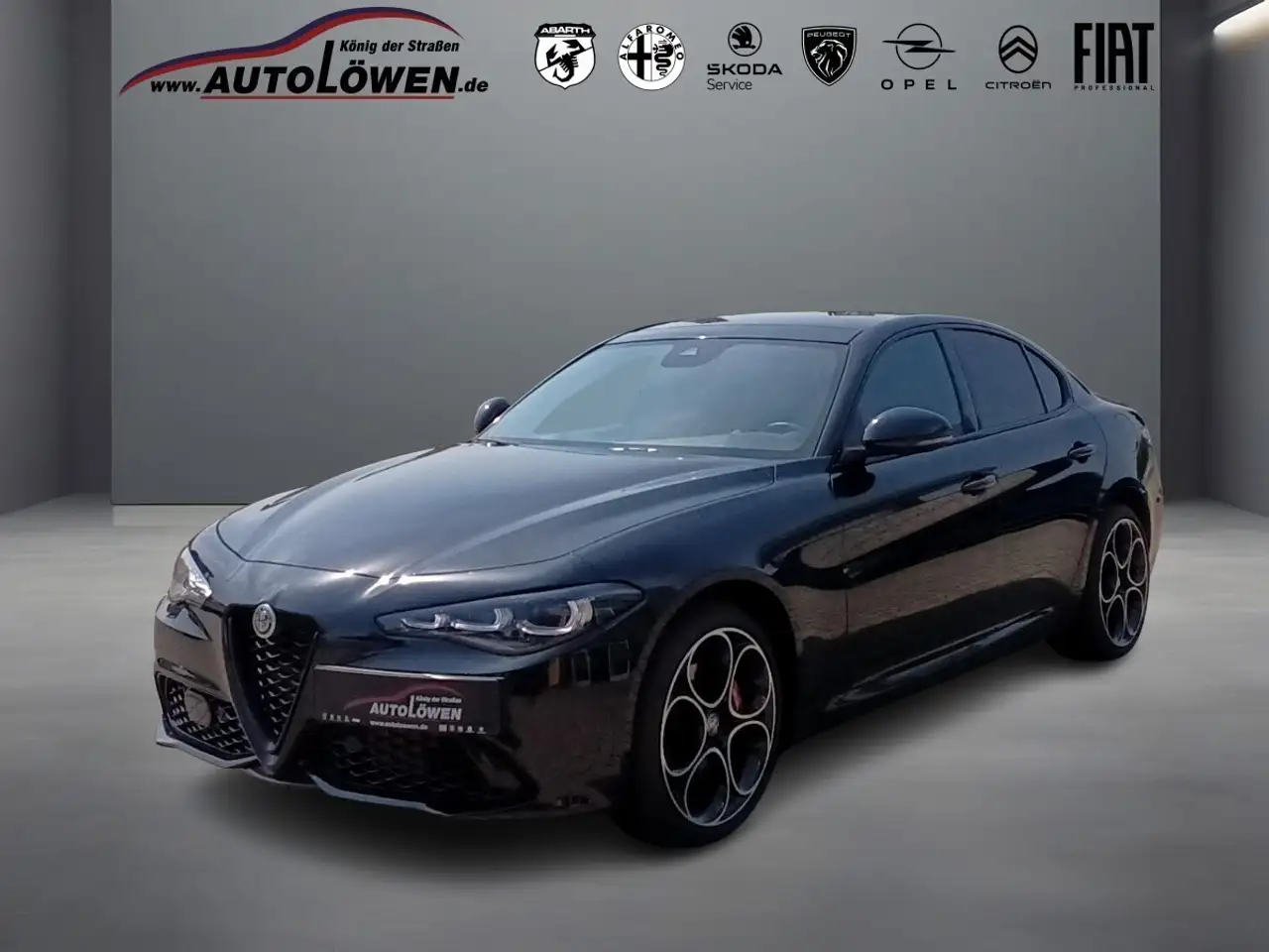 Giulia2.0 Turbo 16V Competizione Q4 (EURO 6d)