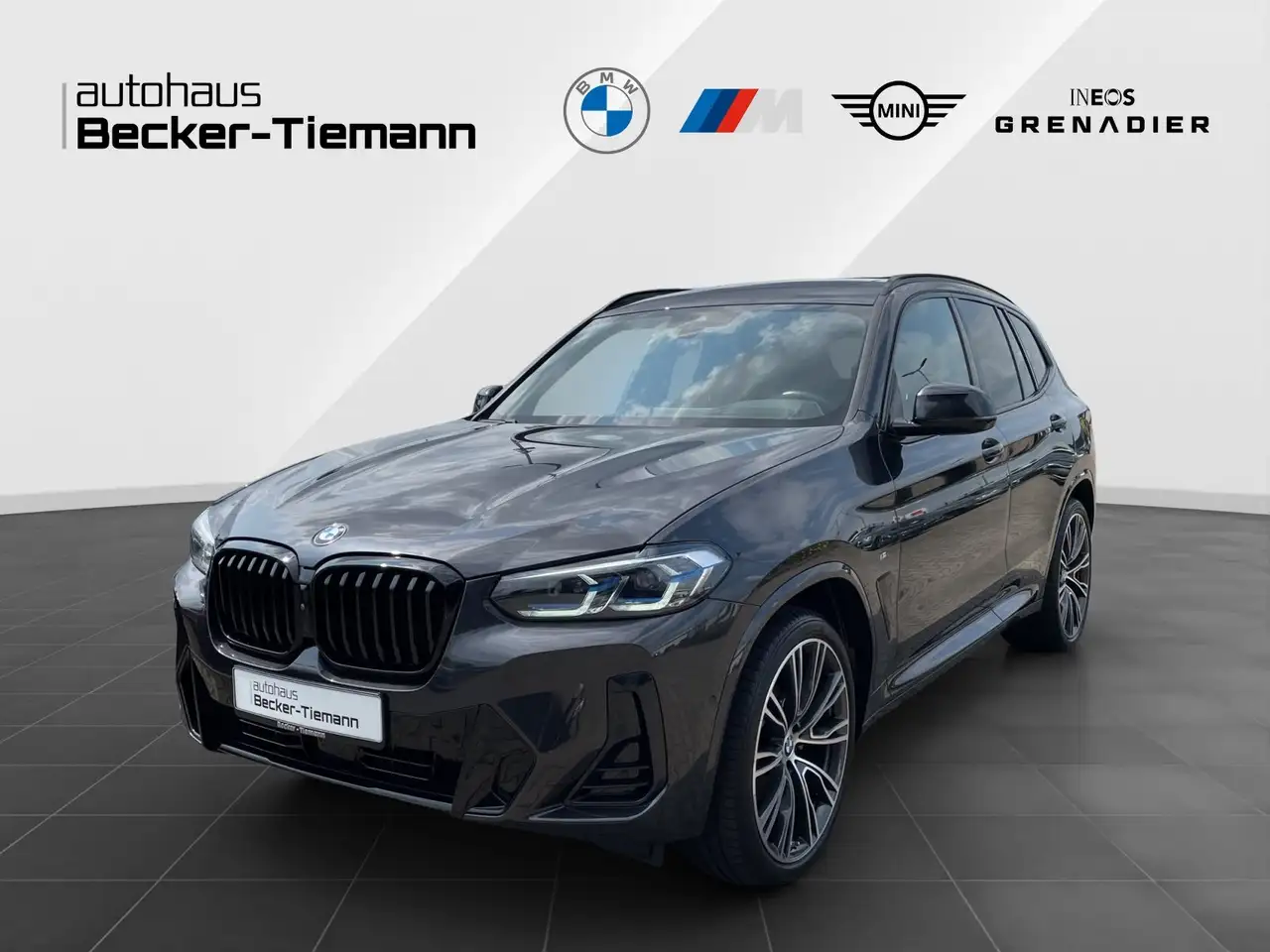 X3xDrive20d Panorama/Winterfreude/Laser/Driving/ACC/