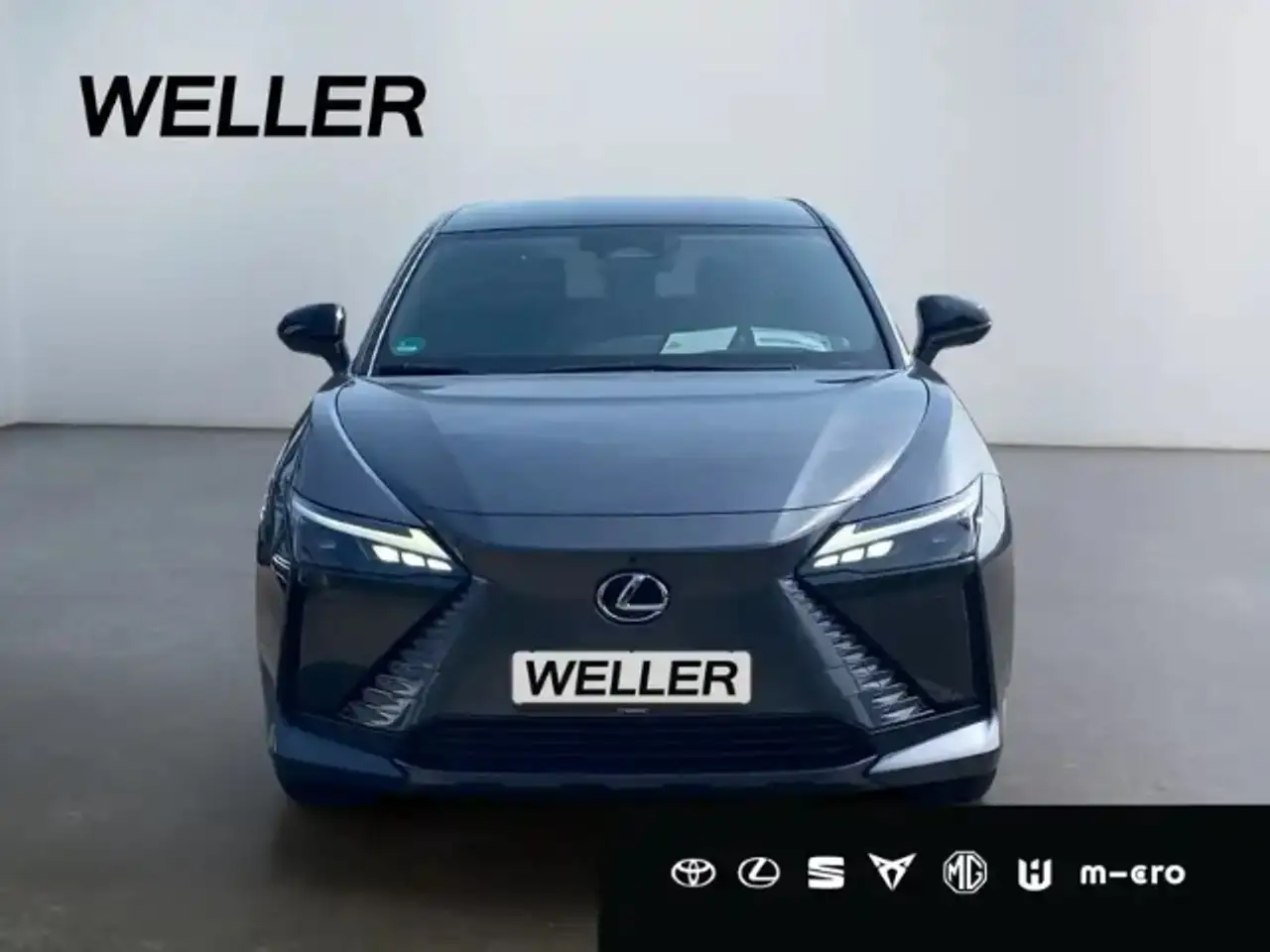 RZ300e Executive Line *360*HUD*LED*el Heck*SHZ*