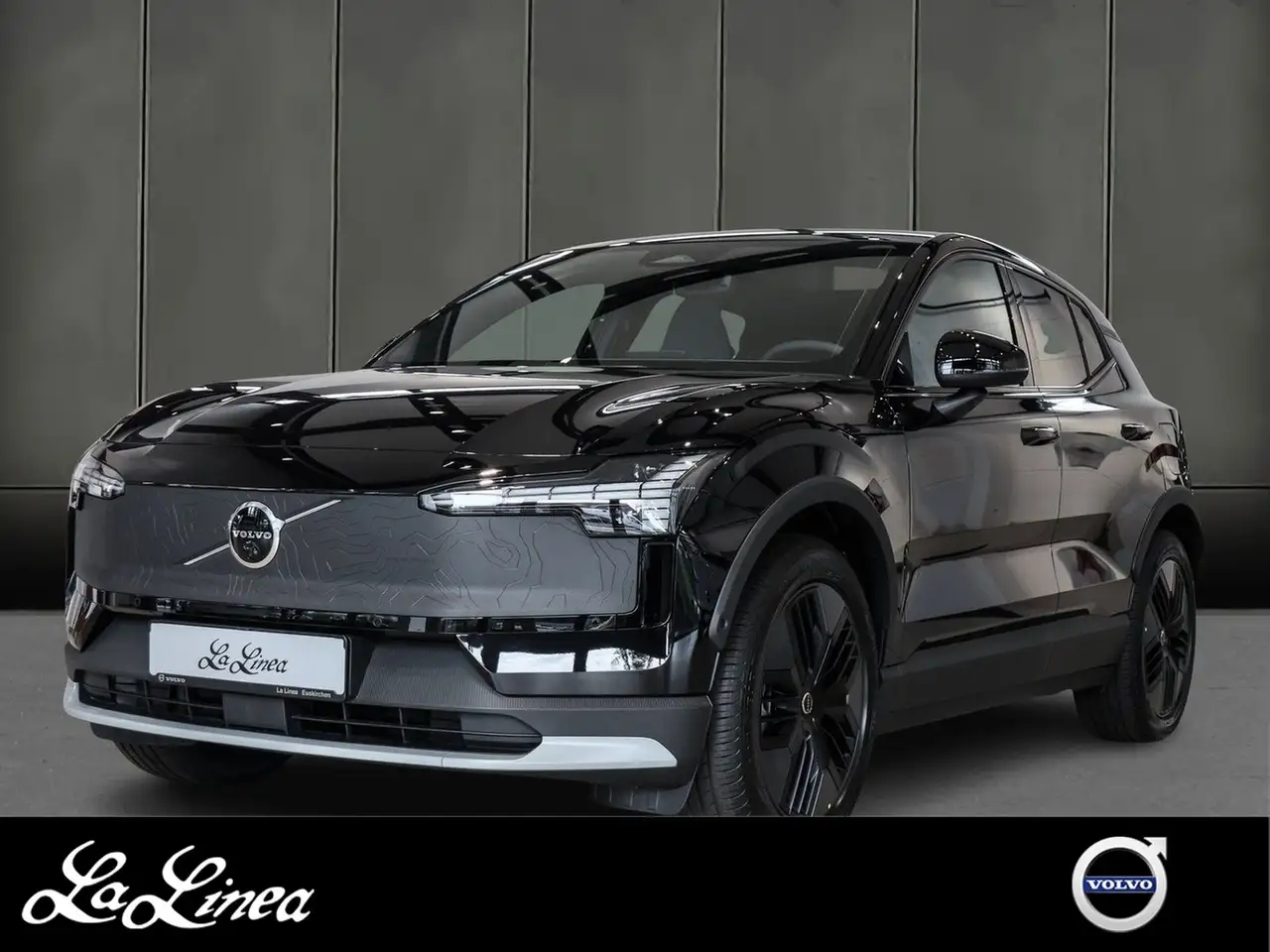 EX30Cross Country Ultra Cross Country Twin Motor