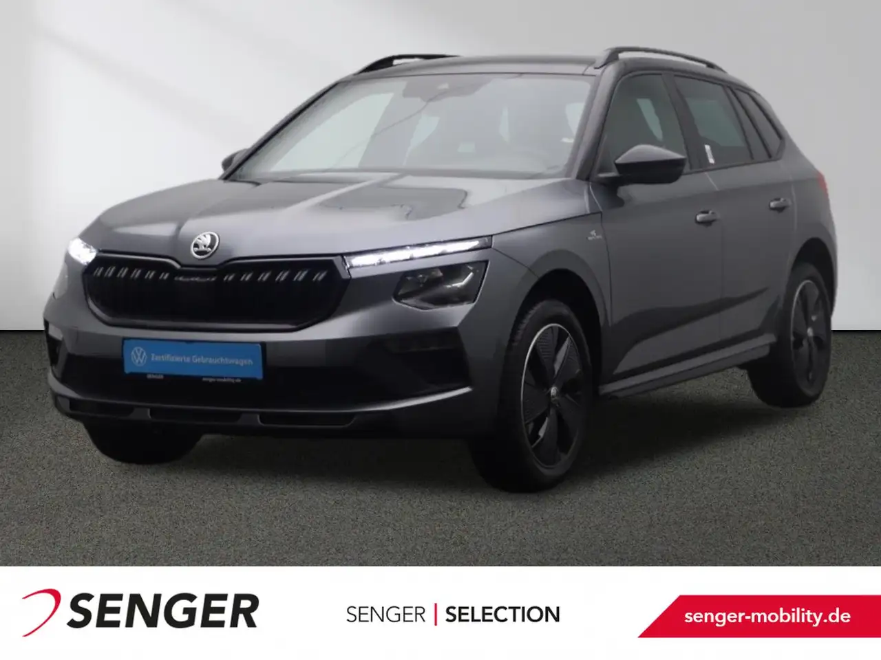 Kamiq1.0 TSI DSG CarPlay Matrix-LED Panorama
