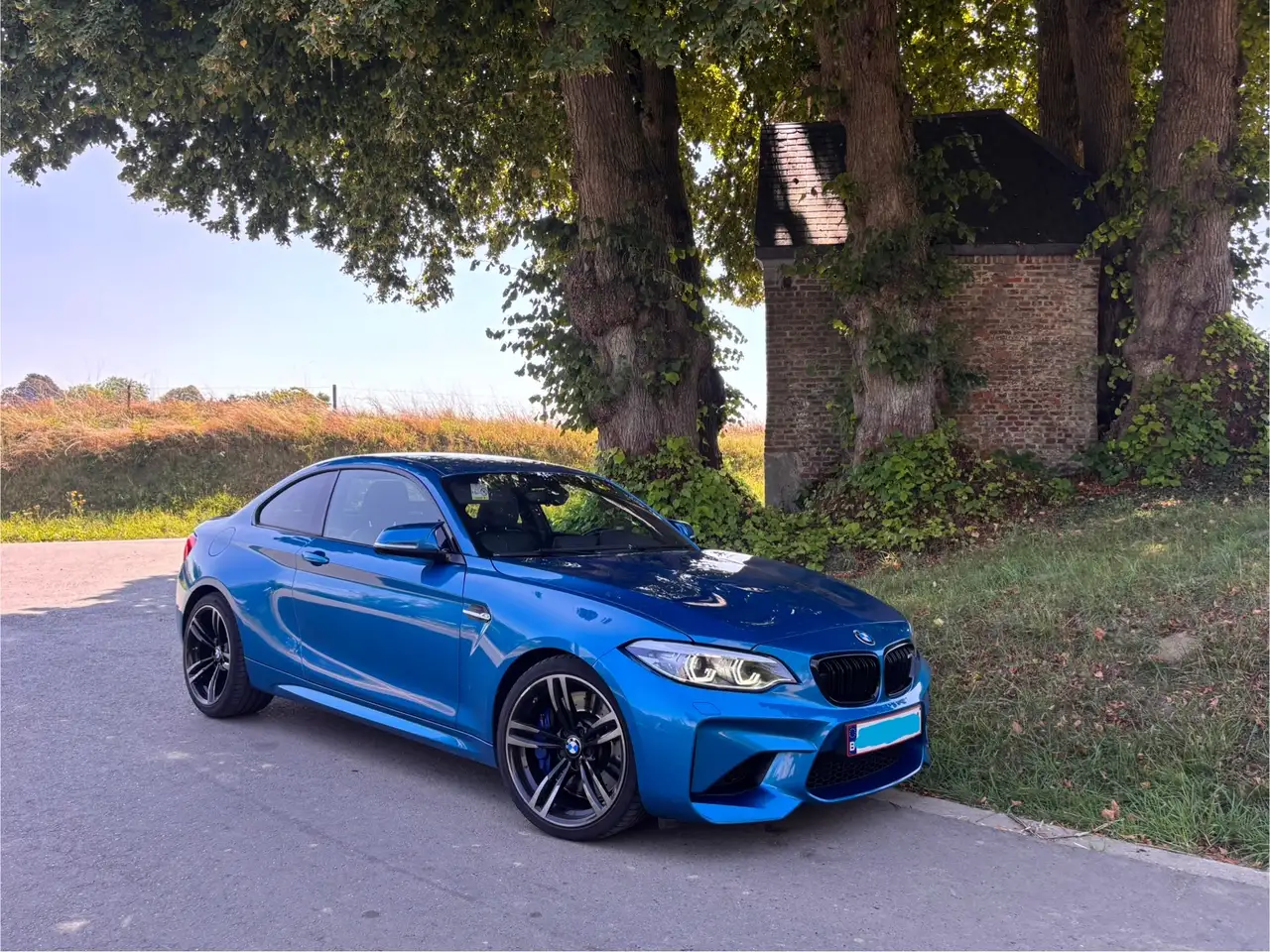 M2M2 Coupe DKG
