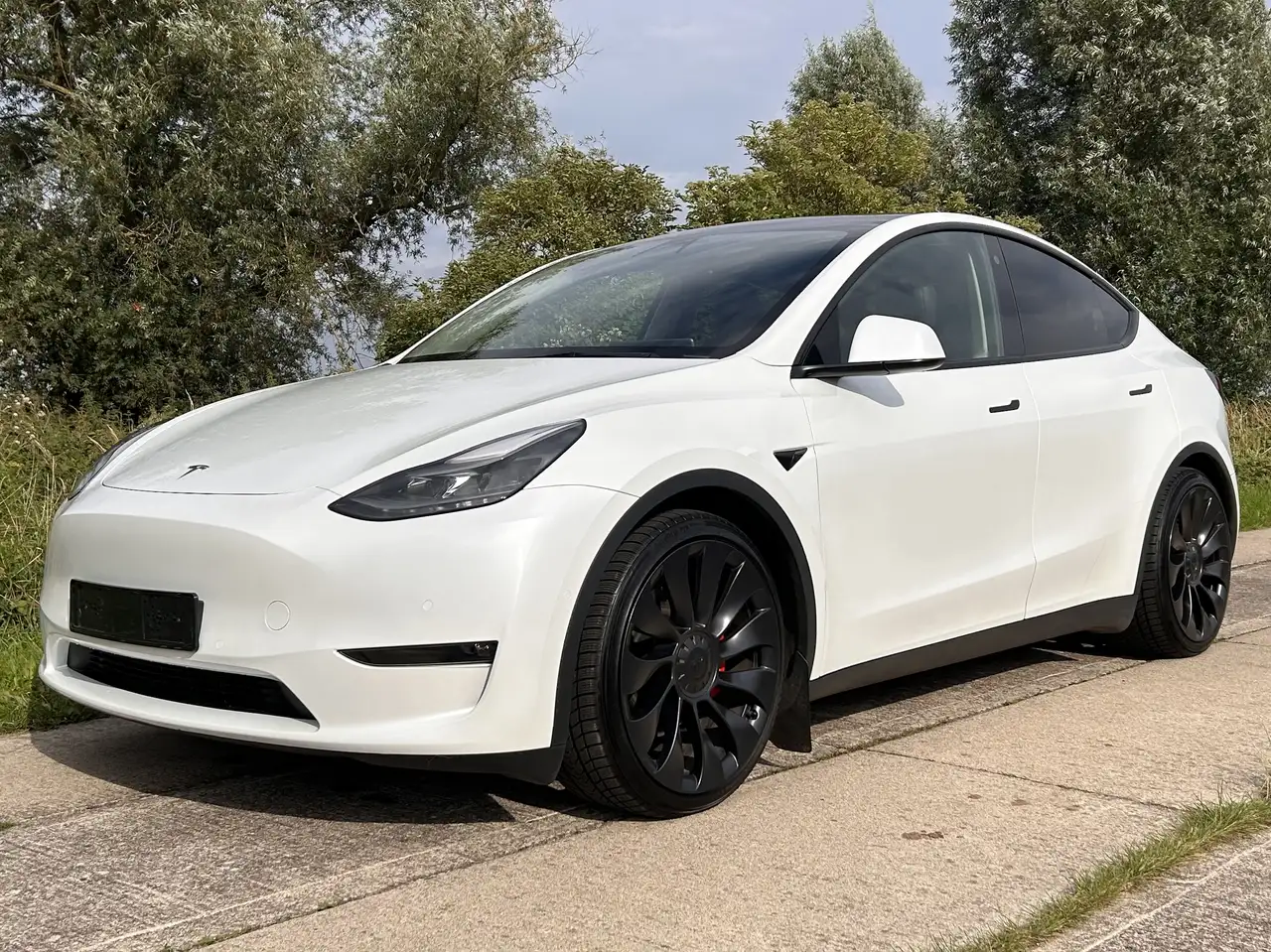 Model YModel Y Performance Dual Motor AWD