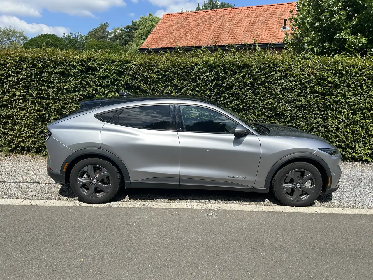 Mustang Mach-ERWD extended range (610km autonomie)BTW aftrekbaar