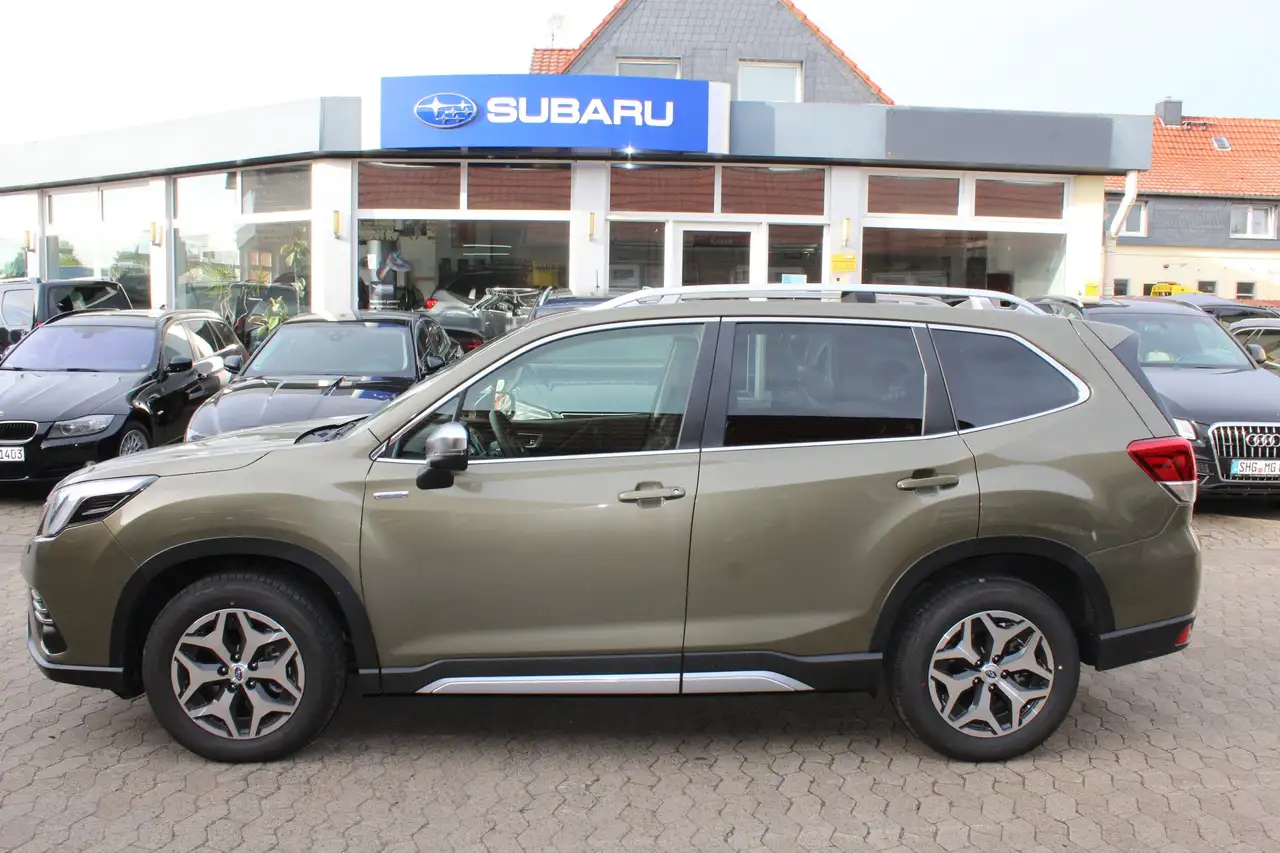 ForesterComfort