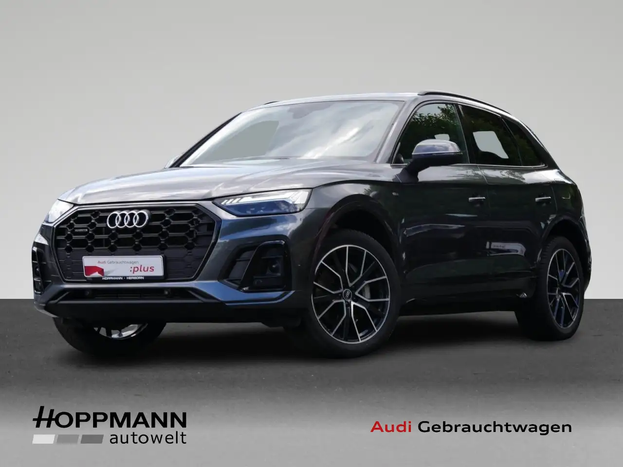 Q550 TFSI e quattro S-Line AHK Pano