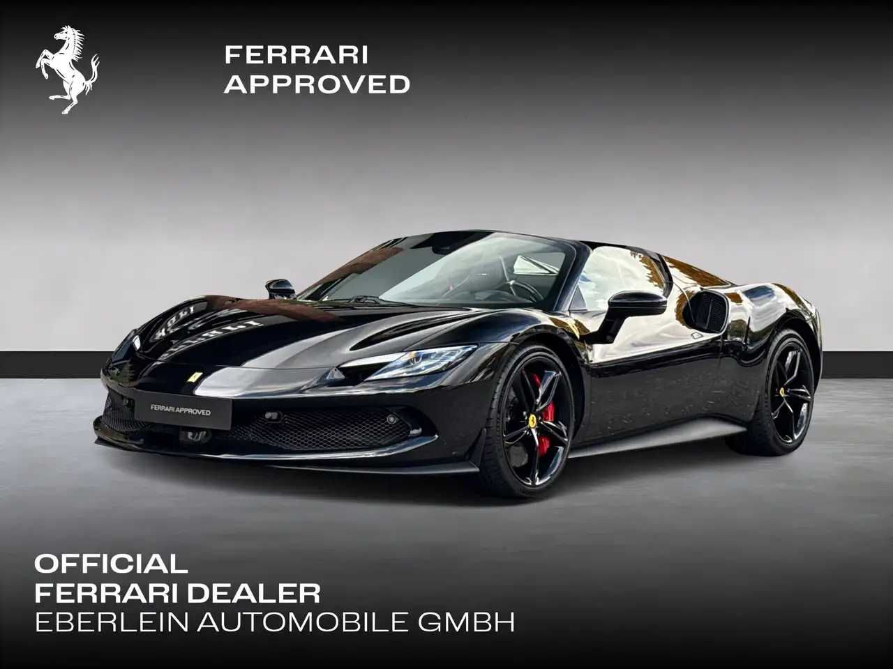 296GTS *Embleme*Navi*PDC*Klima*Leder*