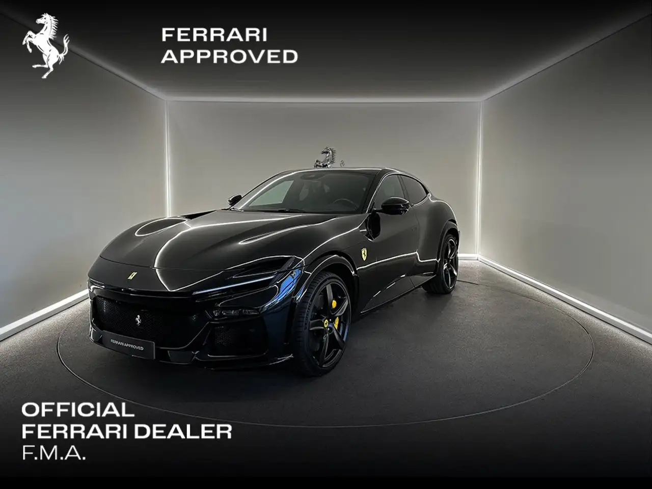 PurosangueNero Daytona / Low Mileage / Ferrari Approved