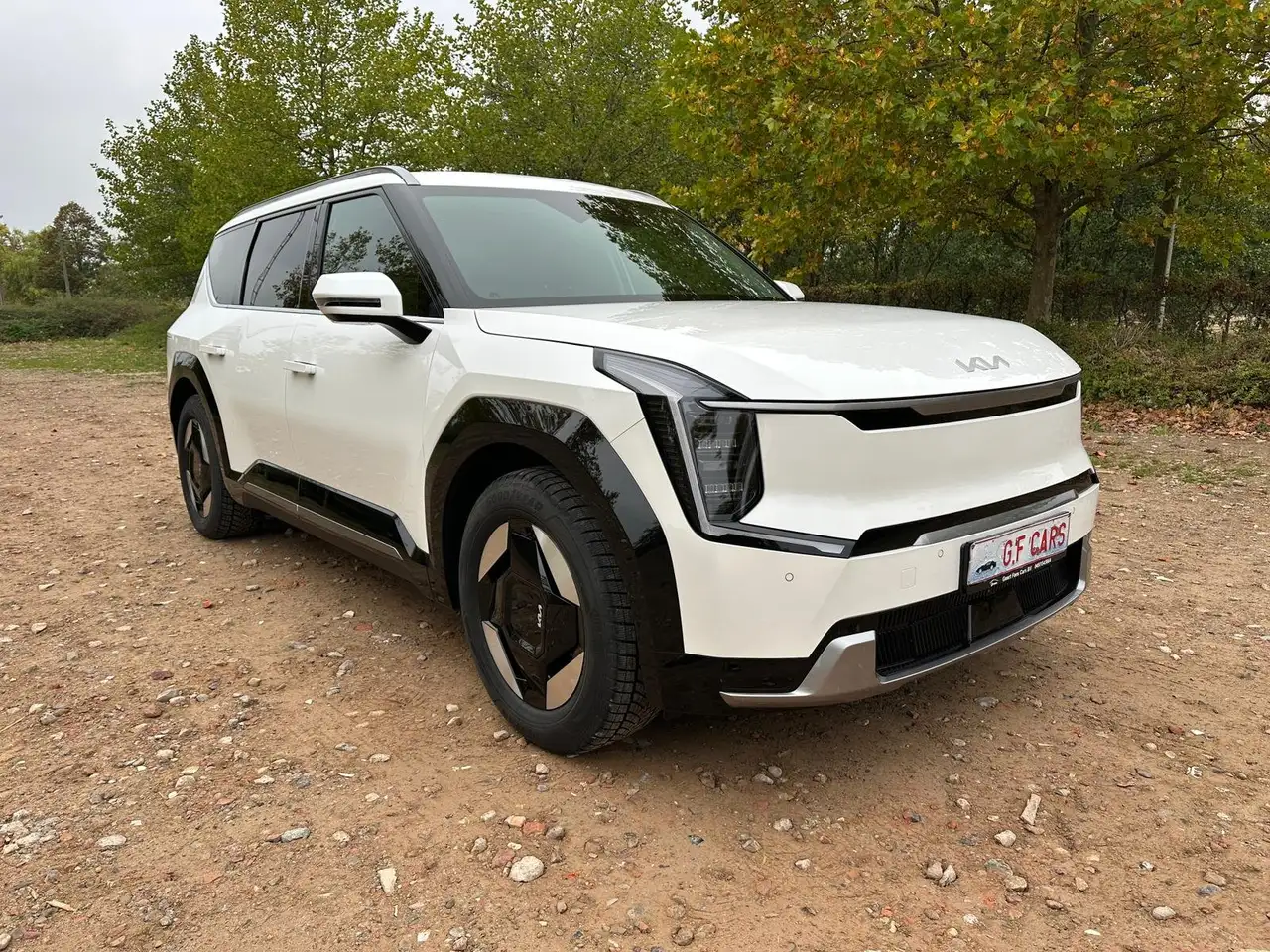 EV9EV9 99,8-kWh RWD