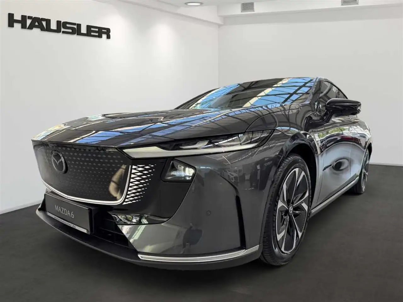 6eEV Takumi Plus mit Teil-Nappaleder, Sony-Sound & H