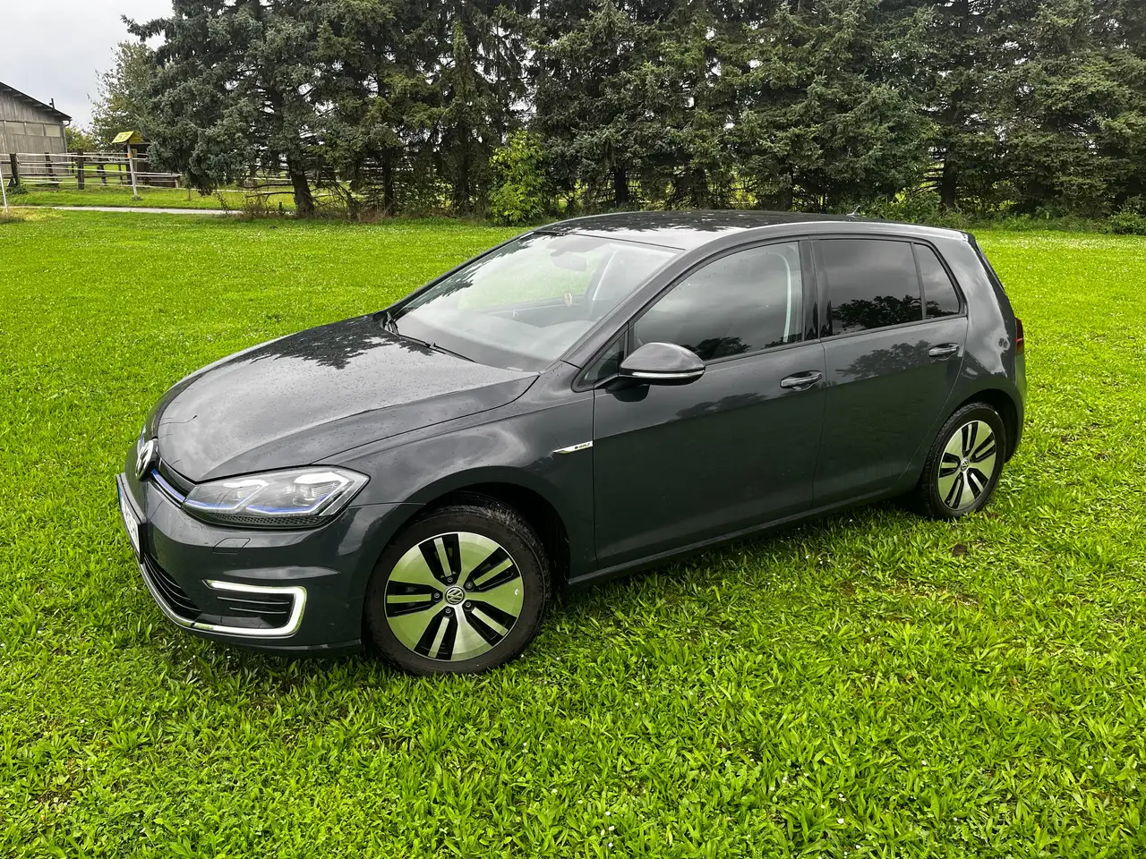 e-Golfe-Golf 35,8kWh (mit Batterie)