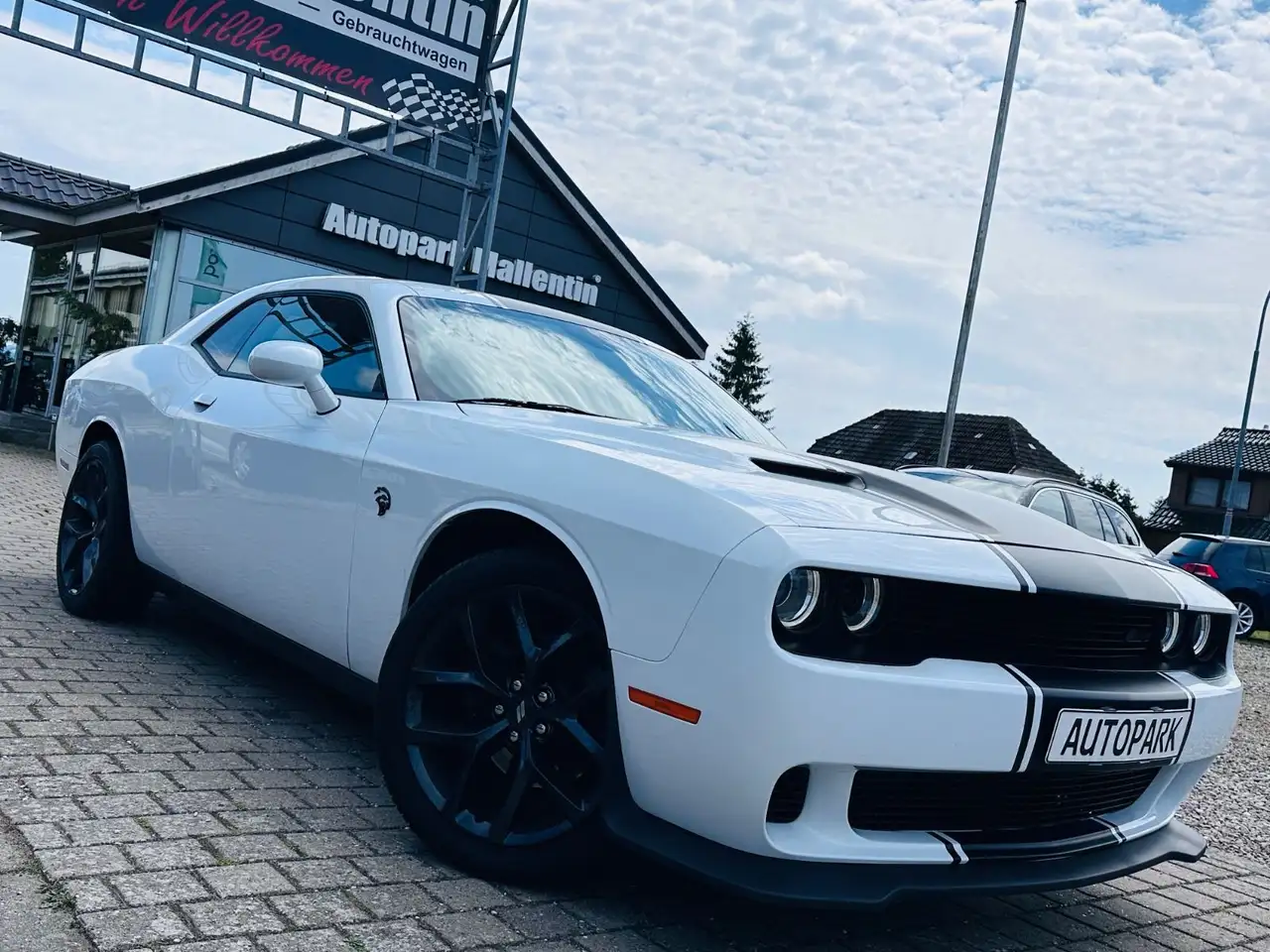 Challenger*LEDER*ALPINE*KAMERA*