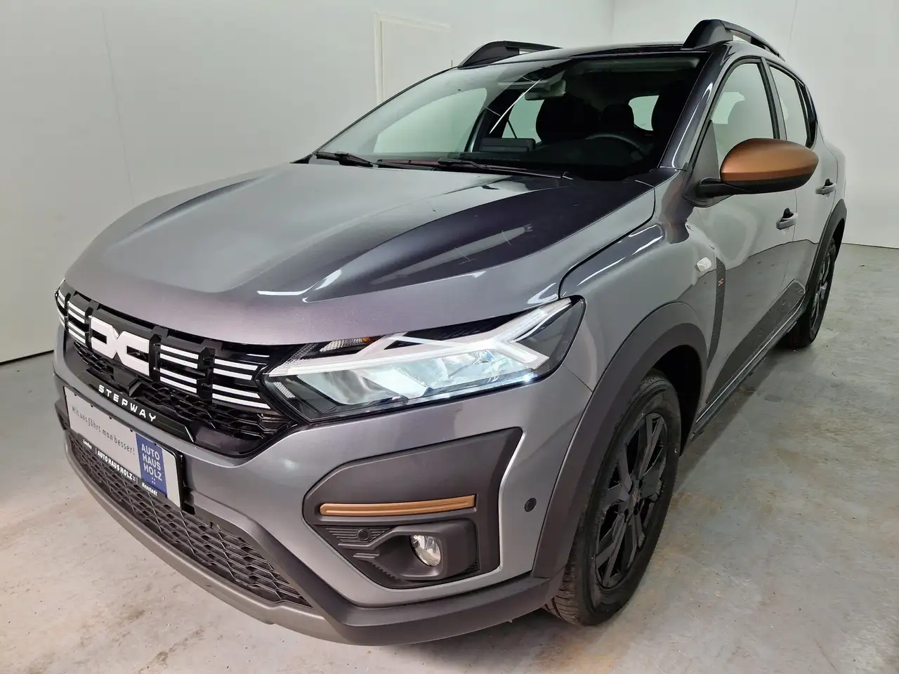 SanderoStepway Extreme+ ECO-G 100 Keyless