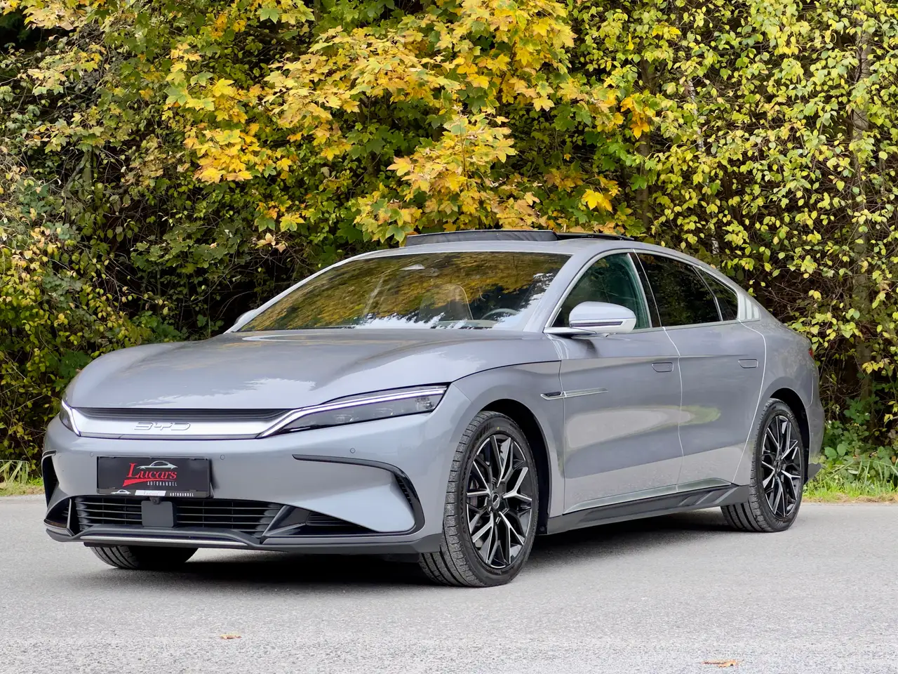 Han380 kW AWD Executive 4x4*GARANTIE*LED*PANO*LEDER*