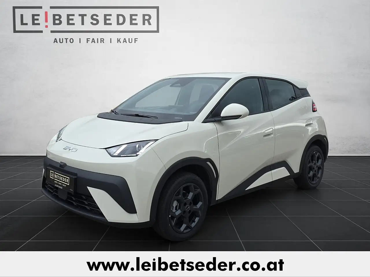 DolphinSurf 43,2 kWh Boost Österreich Paket