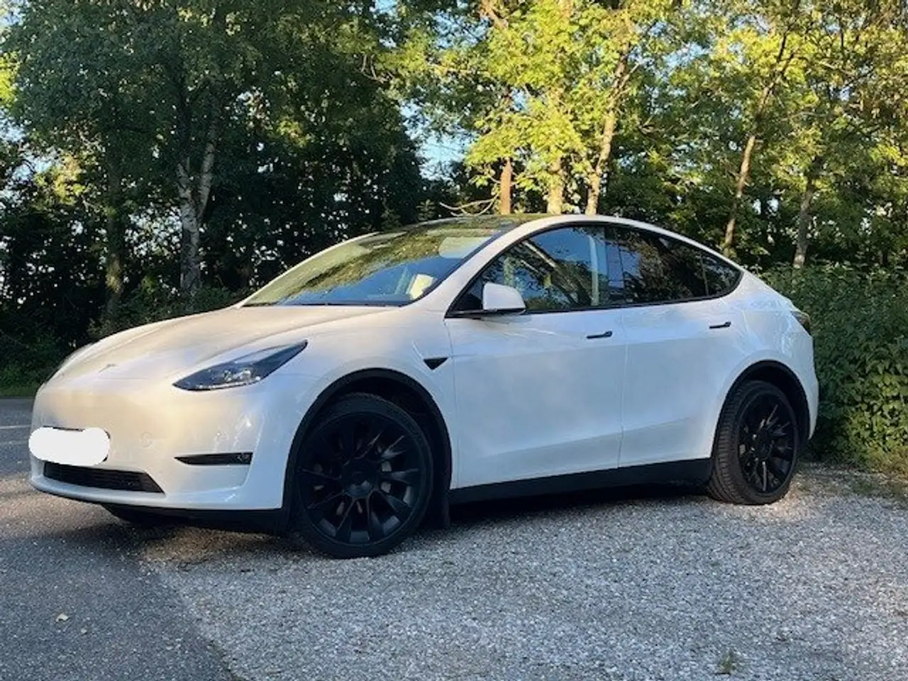 Model YModel Y Long Range Dual Motor AWD