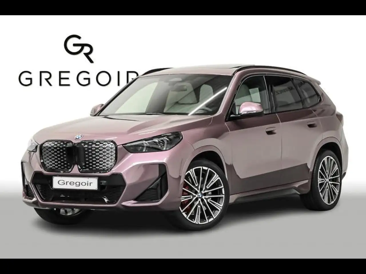 iX1eDrive20 | velvet-orchid metallic