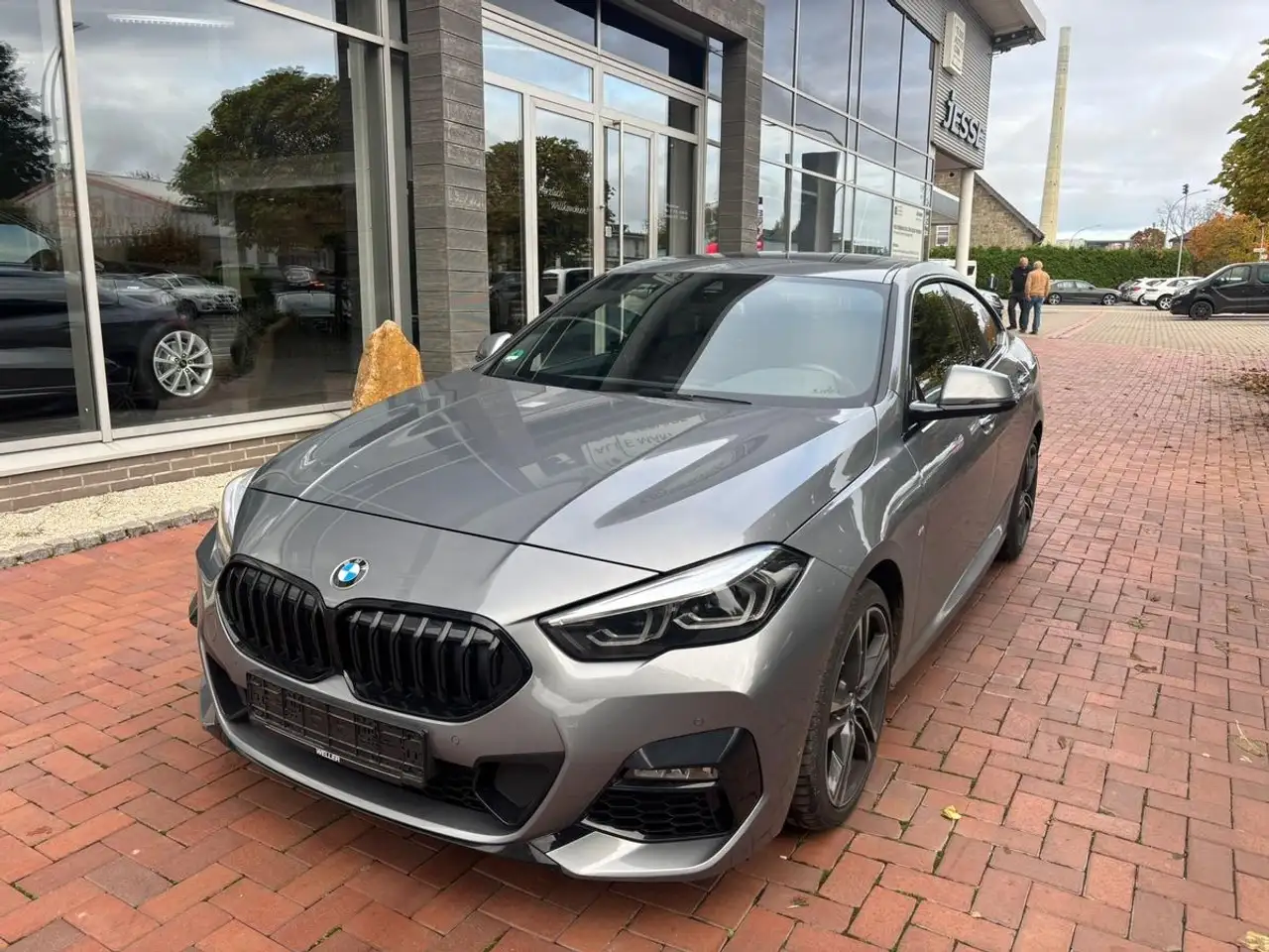 218M Sport LED LiveCockpitPro Pano