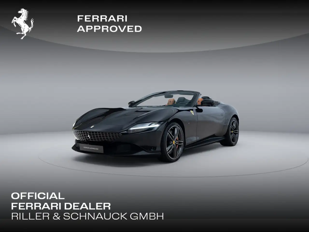 RomaSpider KAMERA NAVI ACC MATRIX-LED 360°