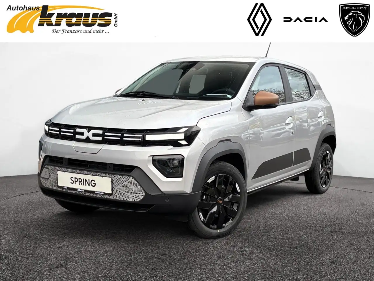 SpringElectric Extreme 65 AKTIONSPREIS