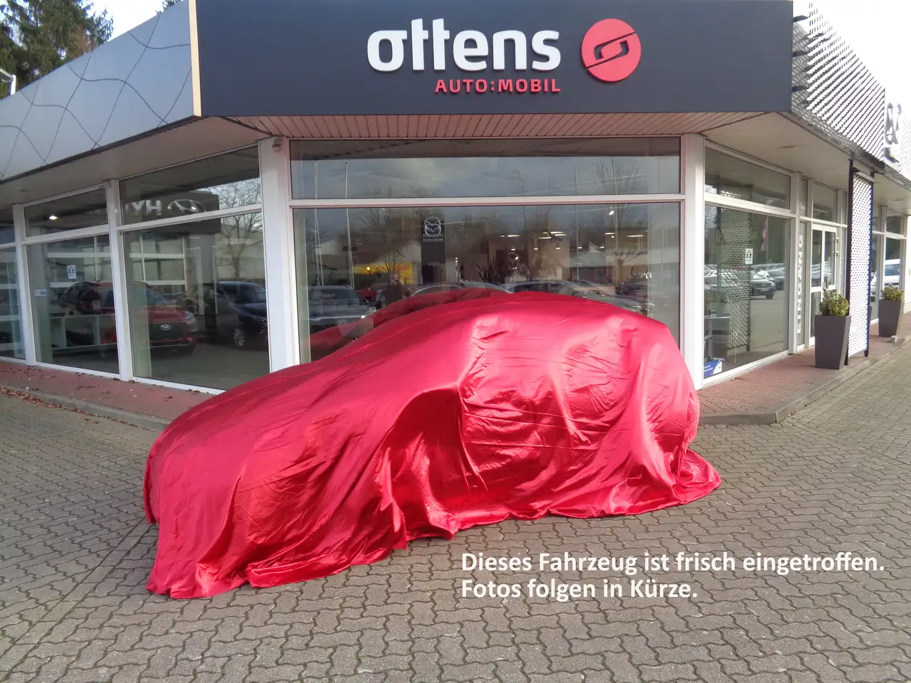 6eEV Takumi Panorama Glasdach