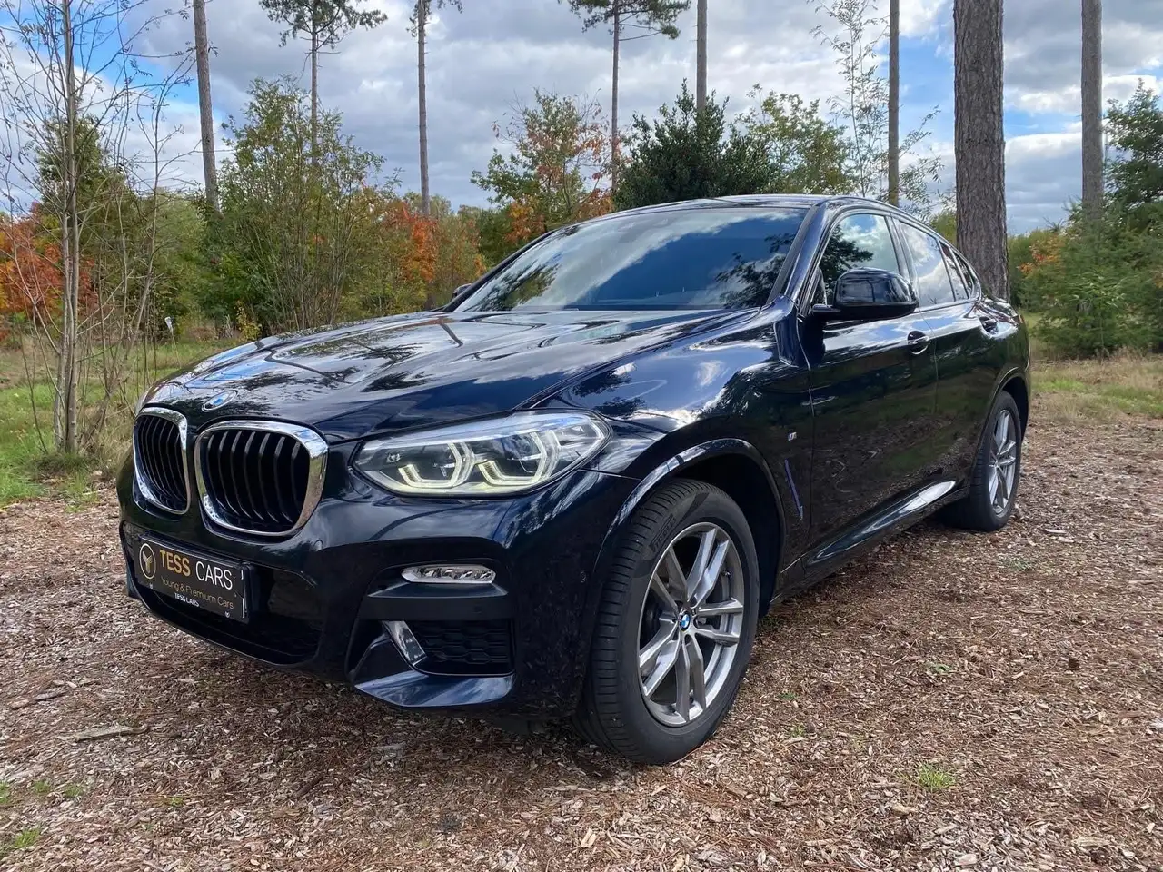 X4xDrive20i Aut. xLine