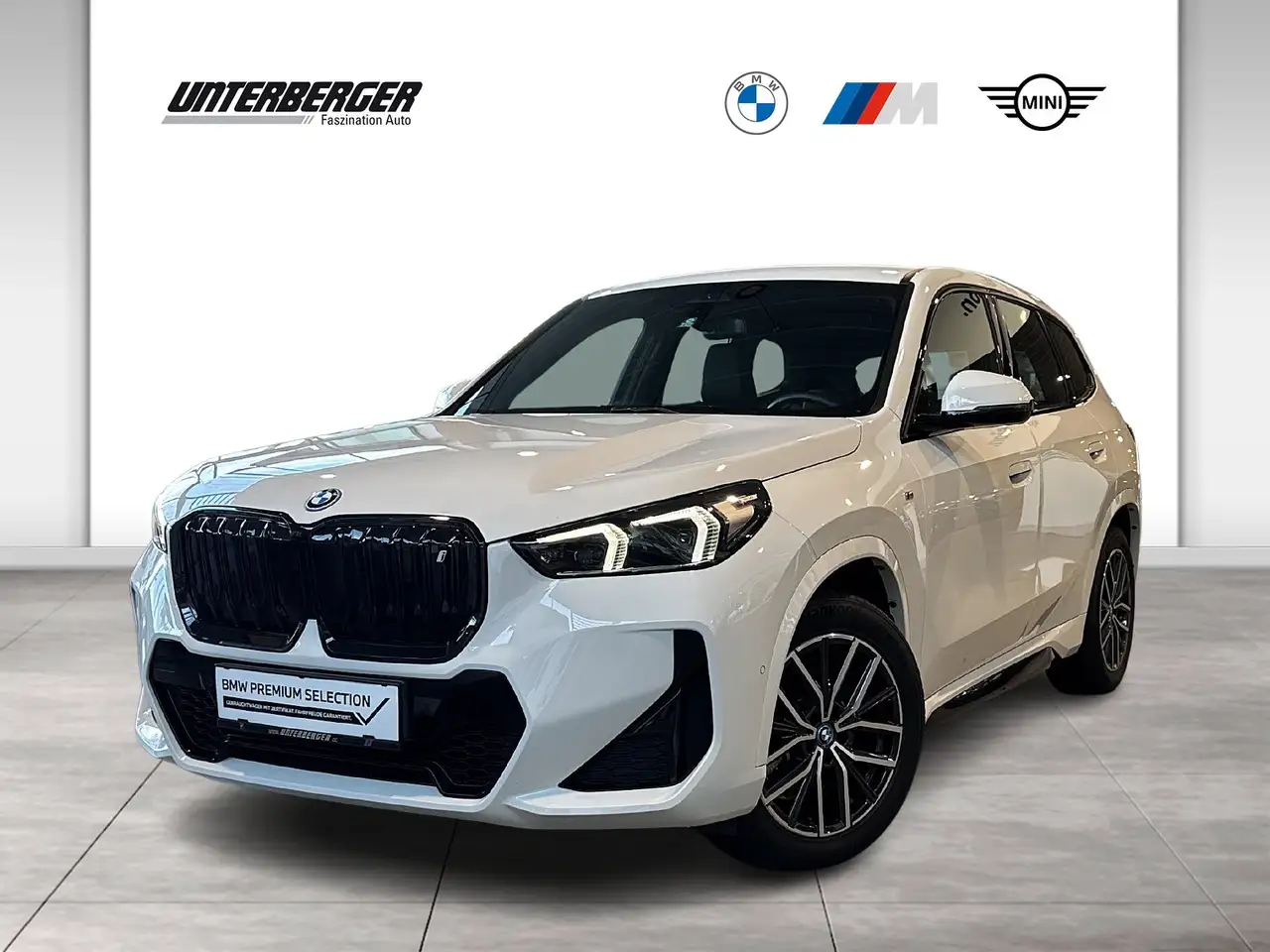 iX1xDrive30 M Sportpaket DAB LED Shz